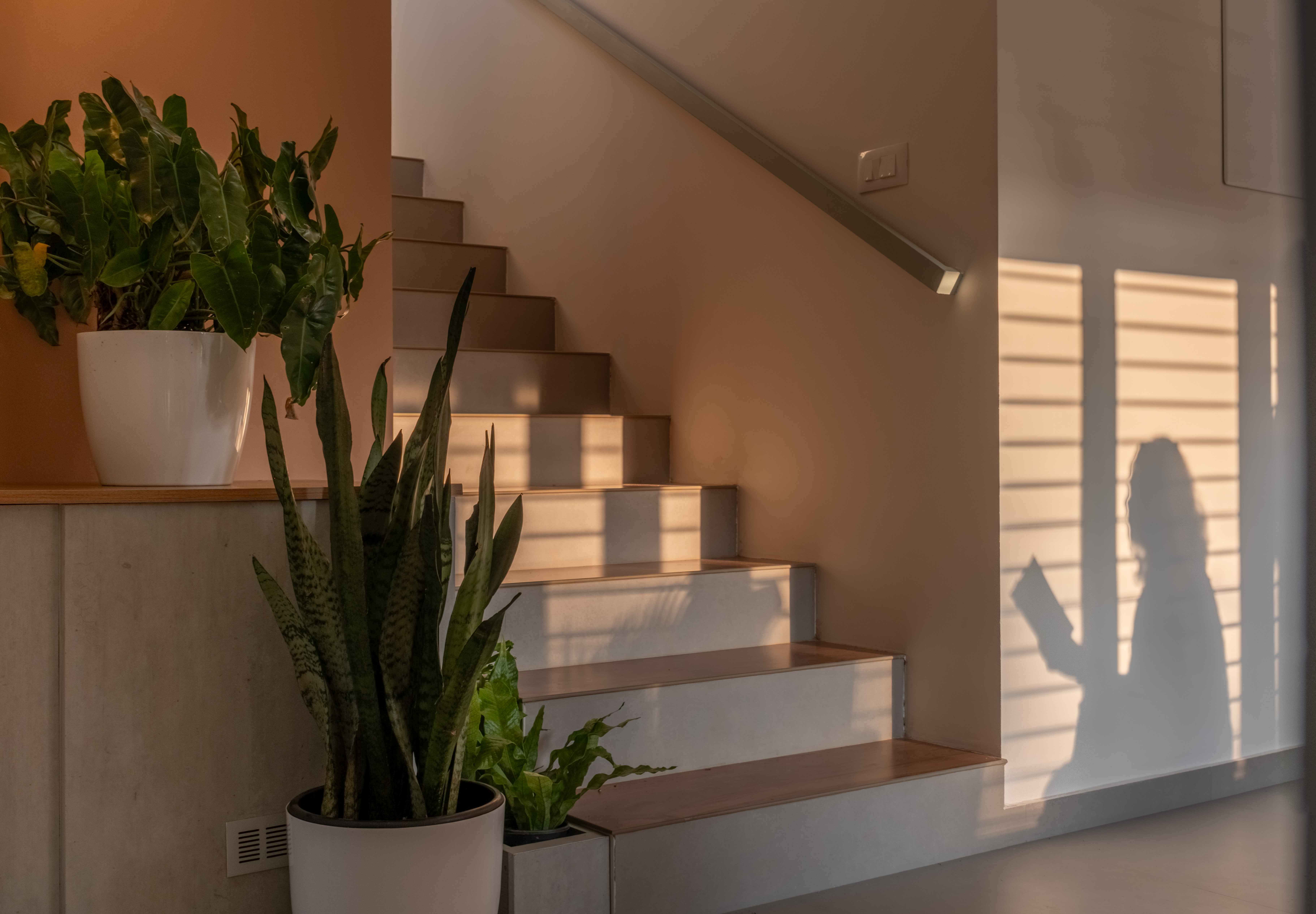 About Terra Architects